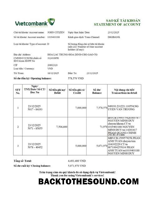Premium İndir Vietnam Vietcombank Hesap Özeti of Hesap Word and PDF Şablon, Sürüm 2 Örnek