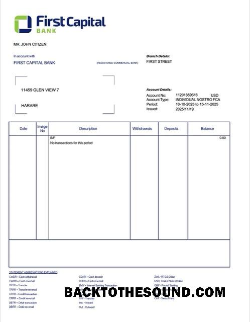 Scarica Zambia First Capital Banca Account Estratto conto Word and PDF Campione design