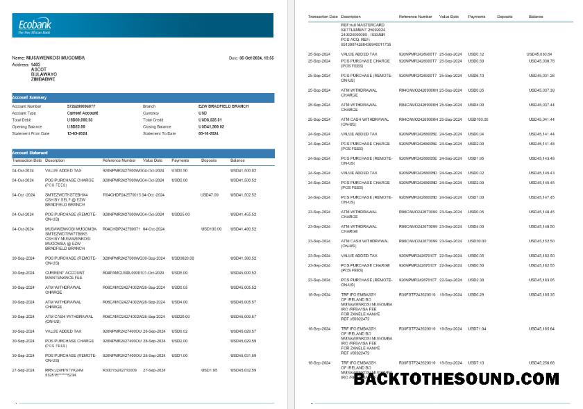 Scarica Zimbabwe Ecobank Banca Estratto conto, 4 pages 1 Campione campione