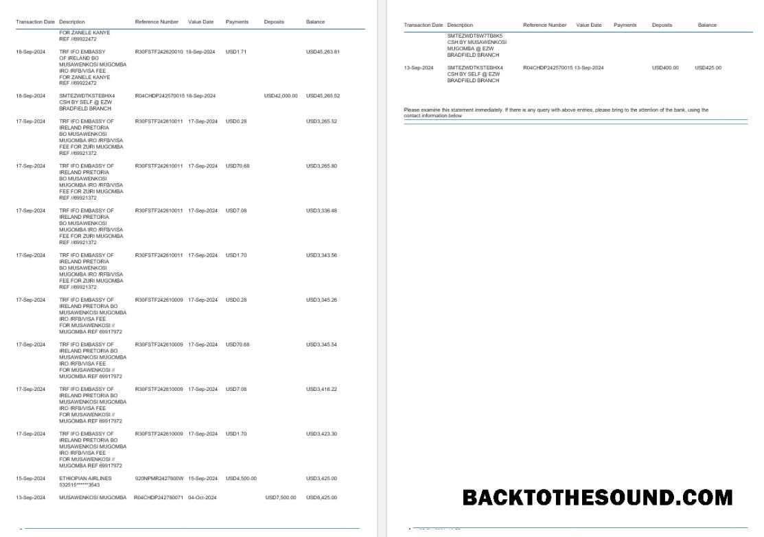 Scarica Zimbabwe Ecobank Banca Estratto conto, 4 pages 2 Campione campione