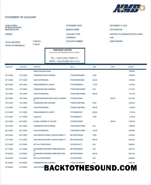 Scarica Zimbabwe NMB Banca Estratto conto of Account Word and PDF Campione design