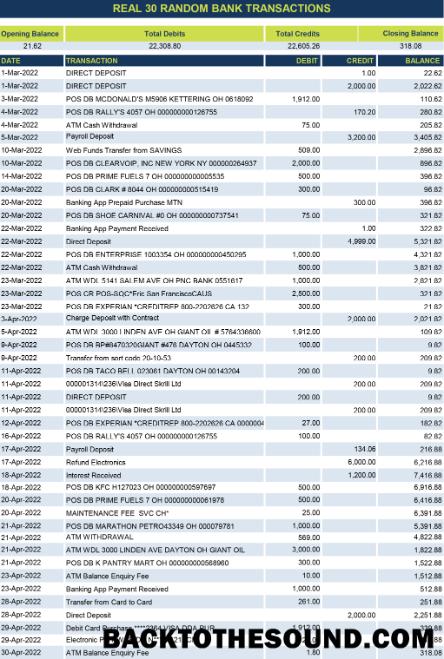 Scarica Reale 30 random Banca transactions Excel and PDF Campione design
