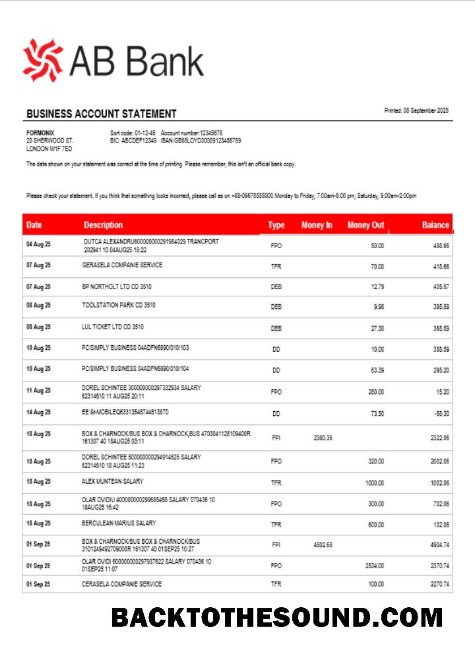 Pobierz AB organizacja sprawdzanie Konto Wyciąg bankowy Word and PDF Próbka próbka