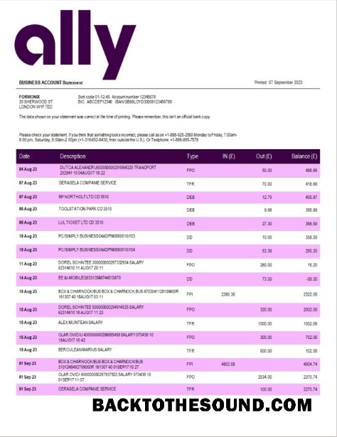 Pobierz Ally Bank enterprise Wyciąg bankowy Word and PDF Próbka szablon