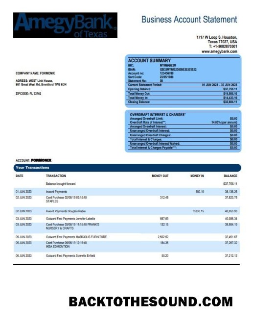 Pobierz Amegy Corporation Bank organizacja Konto Wyciąg bankowy Word and PDF Próbka projekt