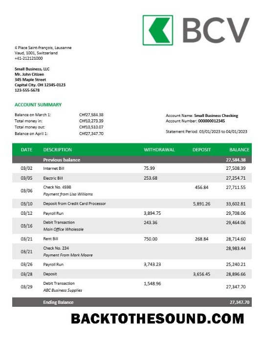 Pobierz BCV Bank Firma Konto Wyciąg bankowy Word and PDF Próbka próbka