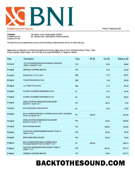 Pobierz BNI Bank firma Wyciąg bankowy Word and PDF Próbka podgląd