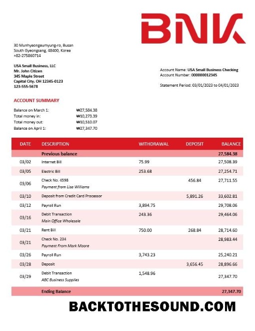 Pobierz BNK Financial Group enterprise Wyciąg bankowy Word and PDF Próbka szablon