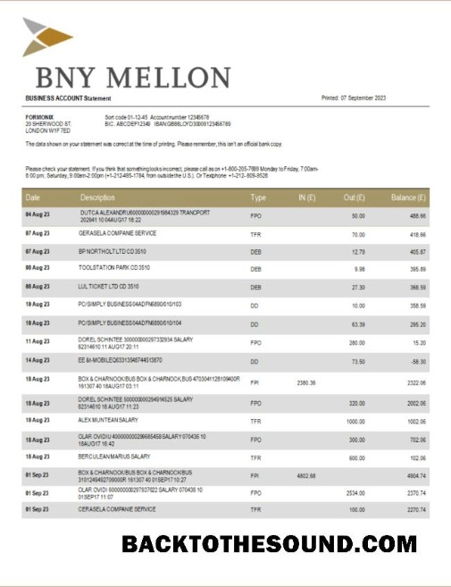 Pobierz BNY Mellon Bank Firma sprawdzanie Konto Wyciąg bankowy Word and PDF Próbka próbka