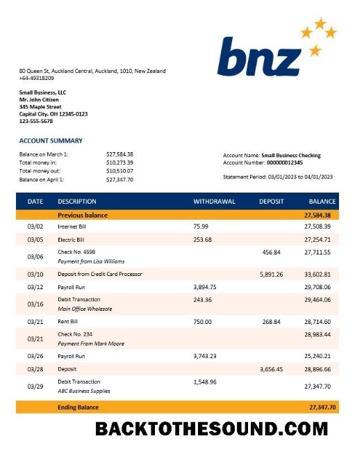 Pobierz BNZ Bank organizacja Konto Wyciąg bankowy Word and PDF Próbka makieta