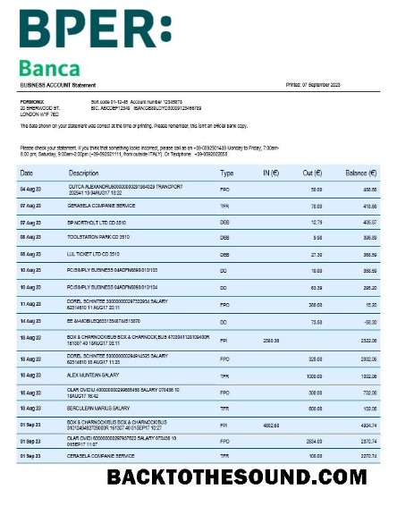 Pobierz BPER Group organizacja Wyciąg bankowy Word and PDF Próbka próbka