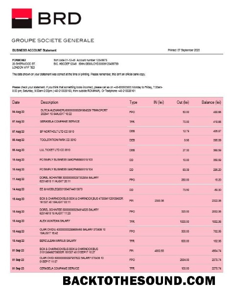 Pobierz BRD Bank organizacja Konto Wyciąg bankowy Word and PDF Próbka szablon