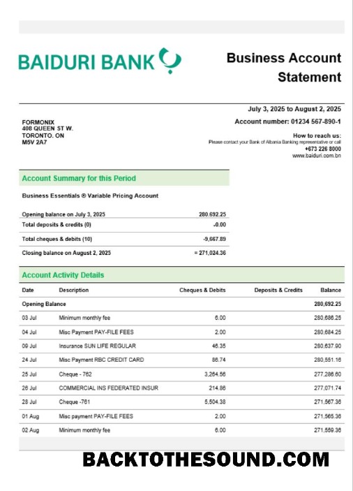 Pobierz Baiduri Bank Biznes Konto Wyciąg bankowy Word and PDF Próbka próbka