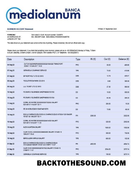 Pobierz Banca Mediolanum firma Konto Wyciąg bankowy Word and PDF Próbka szablon