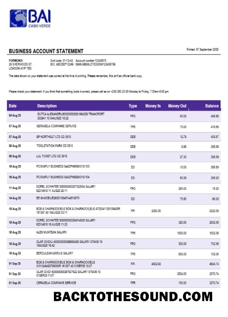 Pobierz Banco Africano de Investimentos Biznes Bank Wyciąg bankowy Word and PDF Format Próbka próbka