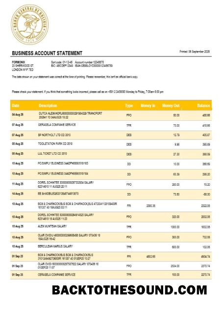 Pobierz Banco Central de Bolivian enterprise Wyciąg bankowy Word and PDF Format Próbka makieta