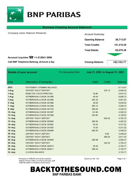 Pobierz Bank BNP Paribas Firma Wyciąg bankowy Word and PDF Próbka szablon