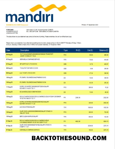 Pobierz Bank Mandiri organizacja Bank Wyciąg bankowy Word and PDF Próbka podgląd
