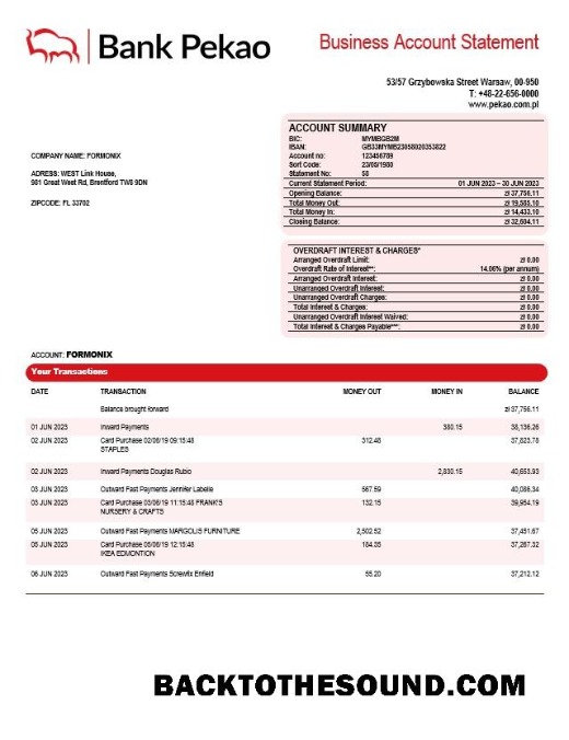 Pobierz Bank Pekao S. A Firma Wyciąg bankowy Word and PDF Próbka projekt