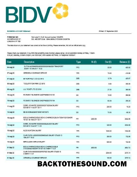Pobierz Bank for Inwestycja and rozwój of Wietnam (BIDV) Biznes Wyciąg bankowy Word and PDF Próbka podgląd