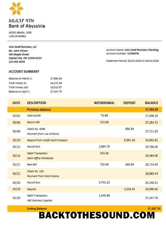 Pobierz Bank of Abyssinia Biznes Bank Wyciąg bankowy Word and PDF Format Próbka próbka