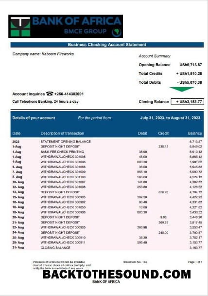 Pobierz Bank of Africa enterprise Konto Wyciąg bankowy Word and PDF Próbka szablon