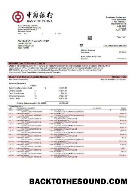 Pobierz Bank of Chiny enterprise Wyciąg bankowy Word and PDF Próbka makieta