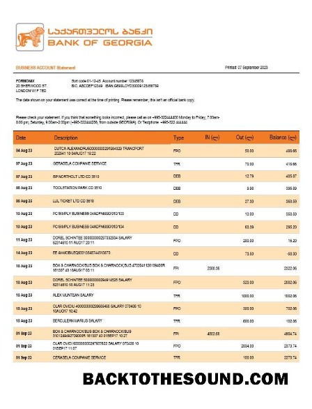 Pobierz Bank of Gruzja Biznes sprawdzanie Konto Wyciąg bankowy Word and PDF templat Próbka podgląd