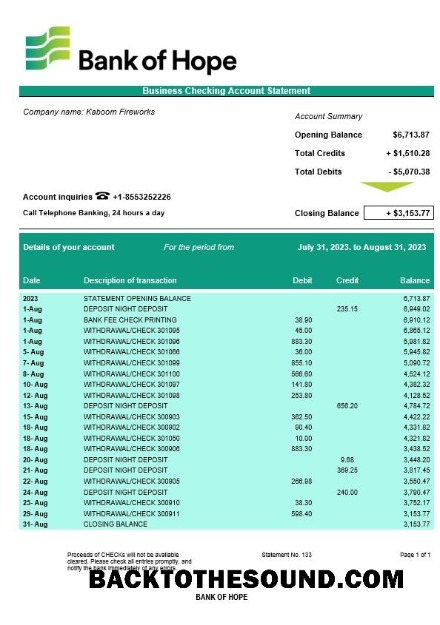 Pobierz Bank of Hope Firma sprawdzanie Konto Wyciąg bankowy Word and PDF Próbka projekt