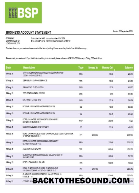 Pobierz Bank of South Pacific Biznes Bank Wyciąg bankowy Word and PDF Format Próbka próbka