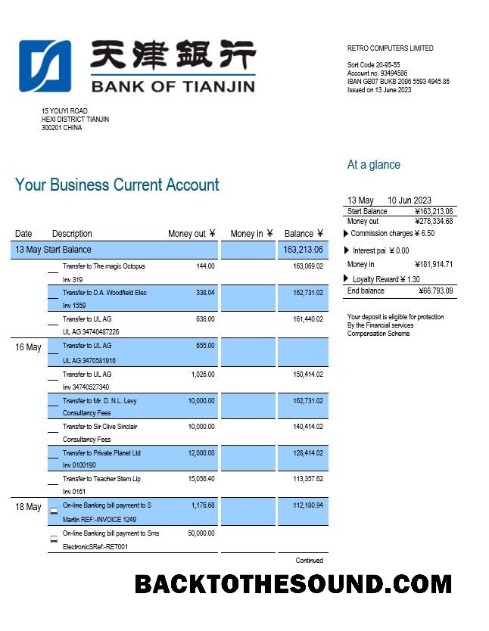 Pobierz Bank of Tianjin Biznes Wyciąg bankowy Word and PDF Próbka projekt