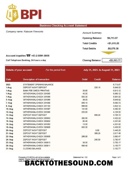 Pobierz Bank of the Philippine Islands Biznes Wyciąg bankowy Word and PDF Próbka próbka
