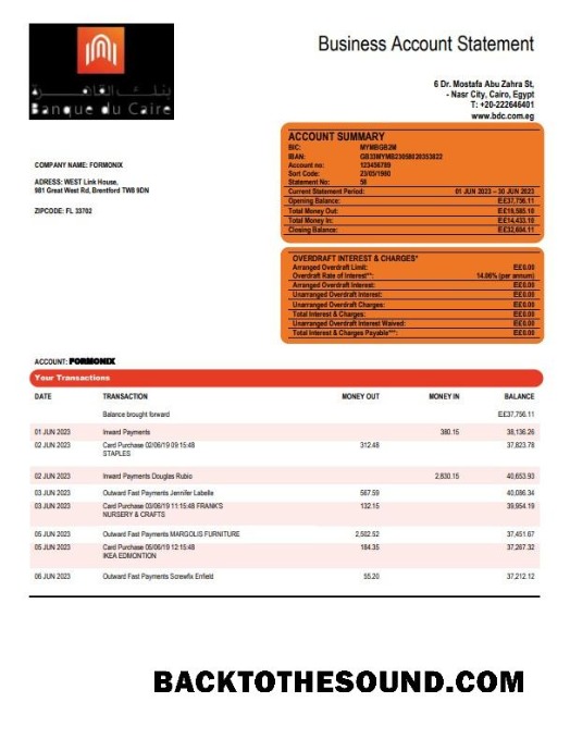 Pobierz Banque du Caire Firma Konto Wyciąg bankowy Word and PDF Próbka szablon