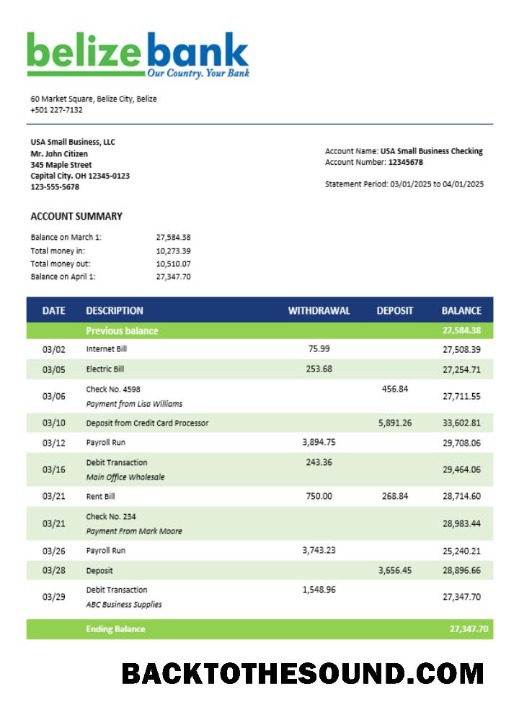 Pobierz Belizean Bank Firma sprawdzanie Konto Wyciąg bankowy Word and PDF Próbka makieta