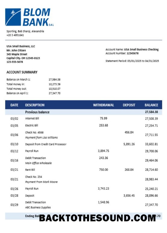 Pobierz Blom Bank of Egipt enterprise Konto Wyciąg bankowy Word and PDF Próbka szablon