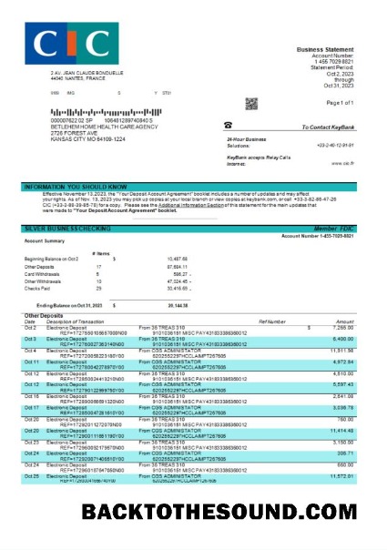 Pobierz CIC Bank enterprise Wyciąg bankowy Word and PDF Próbka makieta