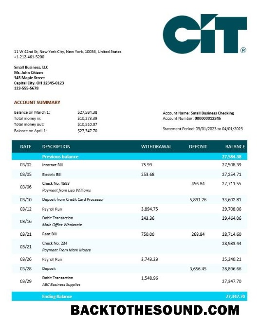 Pobierz CIT Bank Biznes sprawdzanie Konto Wyciąg bankowy Word and PDF Próbka podgląd