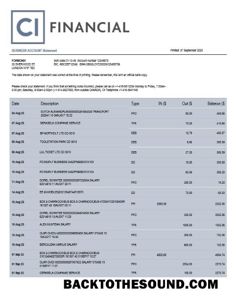 Pobierz CL Financial Bank organizacja Konto Wyciąg bankowy Word and PDF Próbka szablon