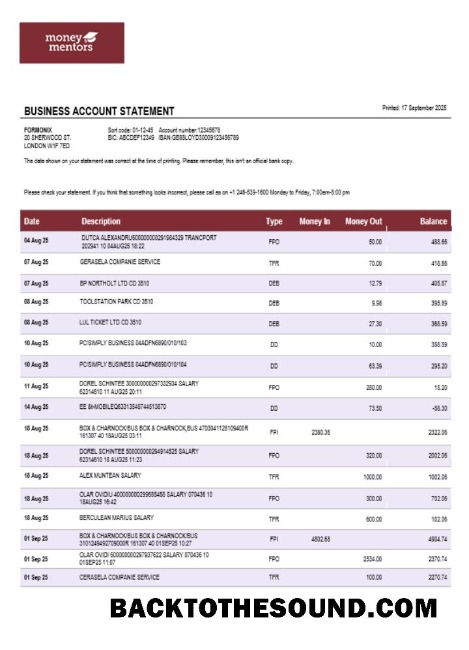 Pobierz Canadian Money Mentors (MM) Biznes organizacja sprawdzanie Wyciąg bankowy Word and PDF Format Próbka projekt