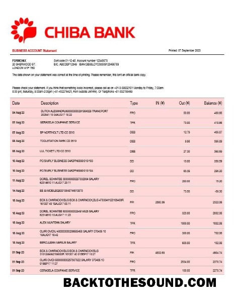 Pobierz Chiba Bank Firma sprawdzanie Konto Wyciąg bankowy Word and PDF Próbka makieta