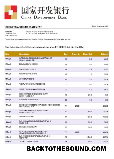 Pobierz chiński rozwój Bank Konto Biznes Wyciąg bankowy Word and PDF Format Próbka szablon
