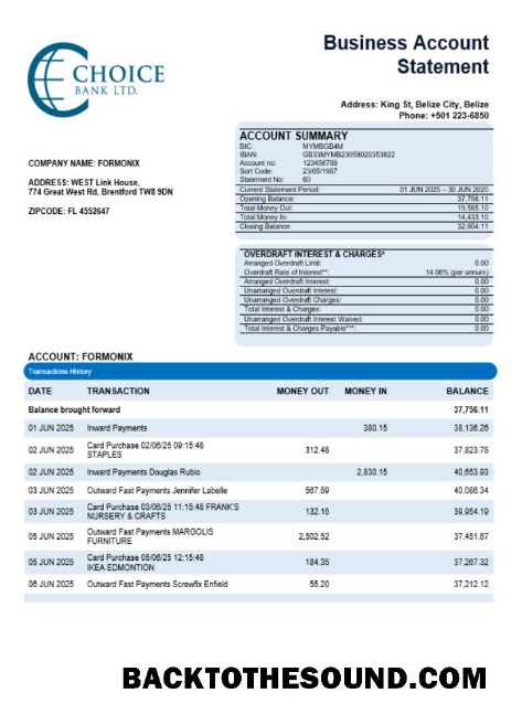 Pobierz Choice Bank Biznes firma Wyciąg bankowy Word and PDF Format Próbka próbka