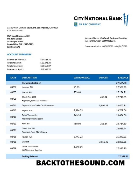 Pobierz City narodowy Bank organizacja Wyciąg bankowy Word and PDF Próbka podgląd