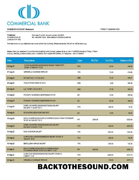 Pobierz komercyjny Bank firma Wyciąg bankowy Word and PDF Próbka próbka