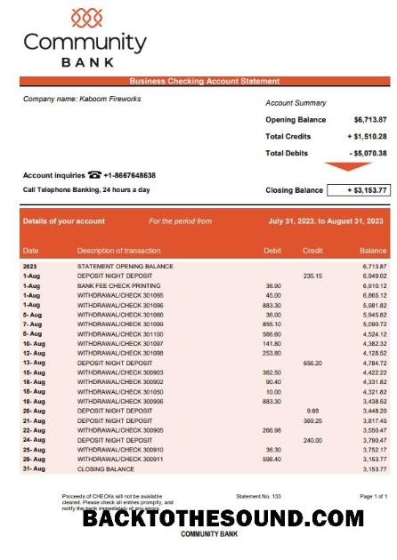 Pobierz Community Bank Biznes Wyciąg bankowy Word and PDF Próbka szablon
