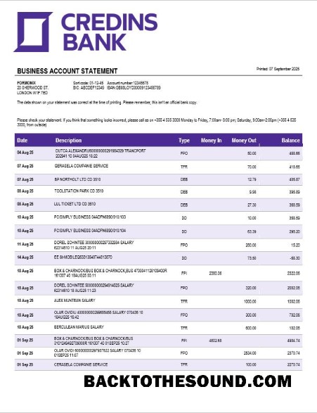 Pobierz Credins enterprise Konto Wyciąg bankowy Word and PDF Próbka próbka