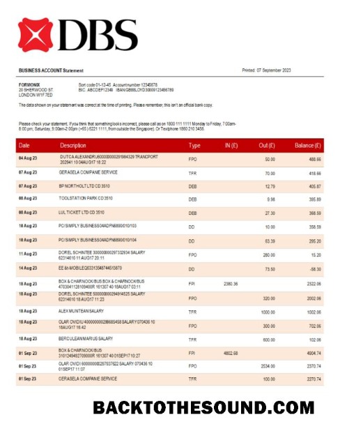 Pobierz DBS Bank organizacja sprawdzanie Konto Wyciąg bankowy Word and PDF Próbka podgląd