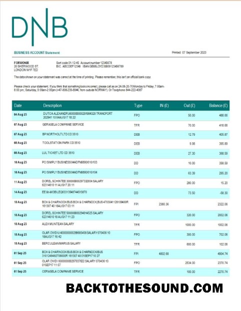 Pobierz DNB Bank firma Konto Wyciąg bankowy Word and PDF Próbka próbka