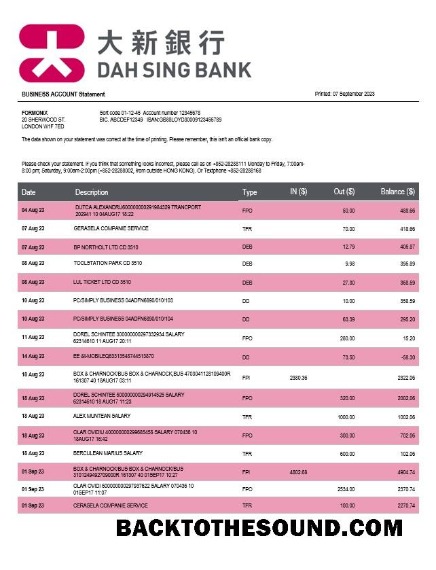 Pobierz Dah Sing Bank Firma sprawdzanie Konto Wyciąg bankowy Word and PDF Próbka projekt