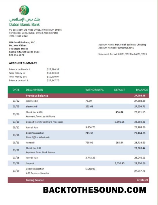 Pobierz Dubai Islamic Bank enterprise Wyciąg bankowy Word and PDF Próbka projekt